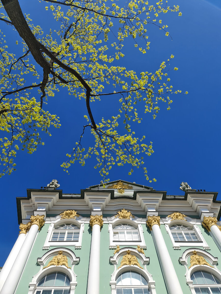 Автор фото: Алексей Бронников, Государственный Эрмитаж.