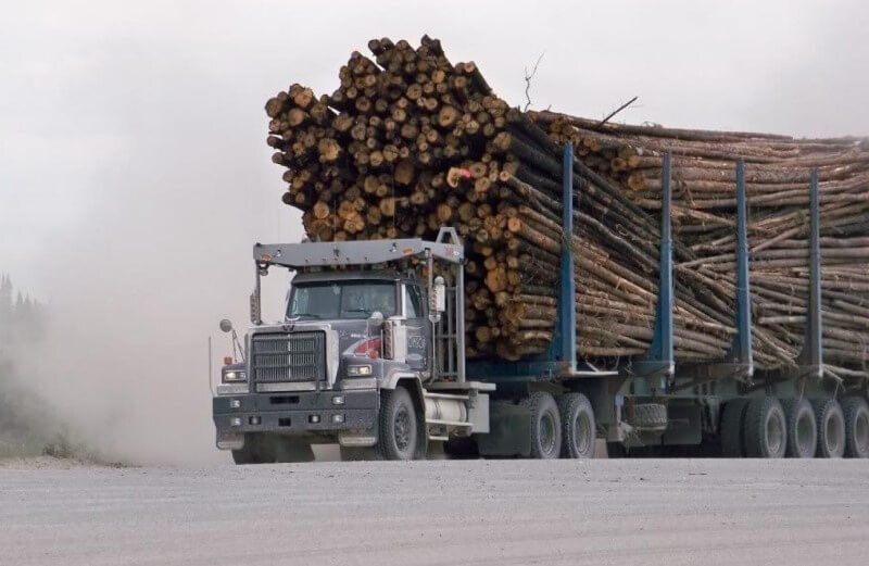    Фото: Минприроды