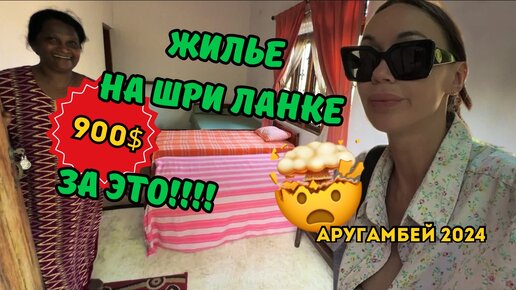 Цены НА АРЕНДУ В ШРИ-ЛАНКЕ! Ты будешь В ШОКЕ! Аругамбей 2024