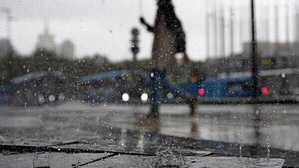    © Sputnik / Владимир Астапкович