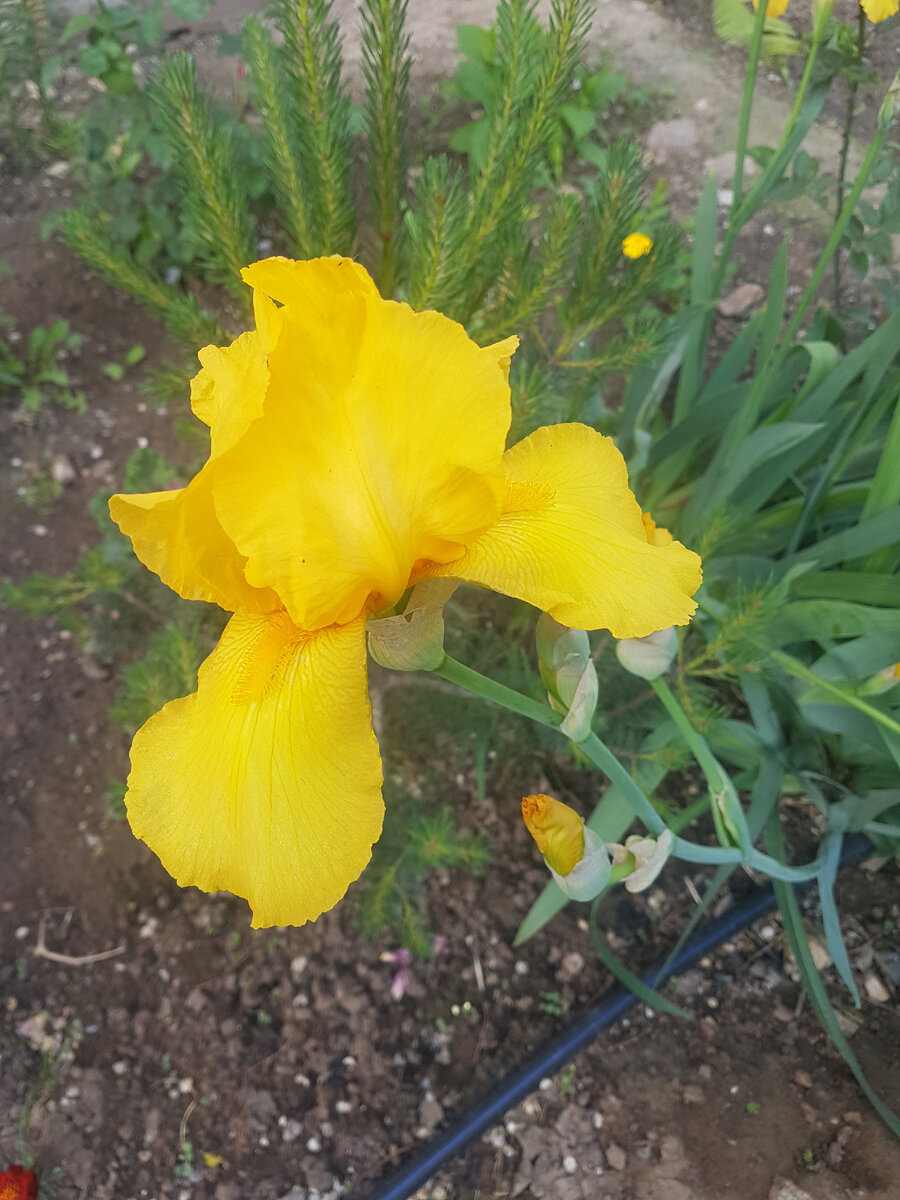 Нравится нам такой яркий цвет😊