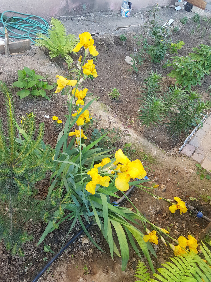 они решили прилечь, отдохнуть😁 но нечего мы это быстренько исправили и подняли их😊