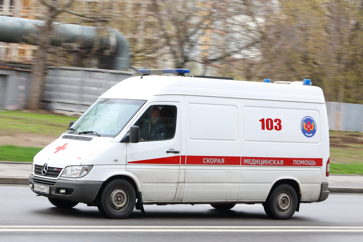 Фото: Petrov Sergey / news.ru / Global Look Press