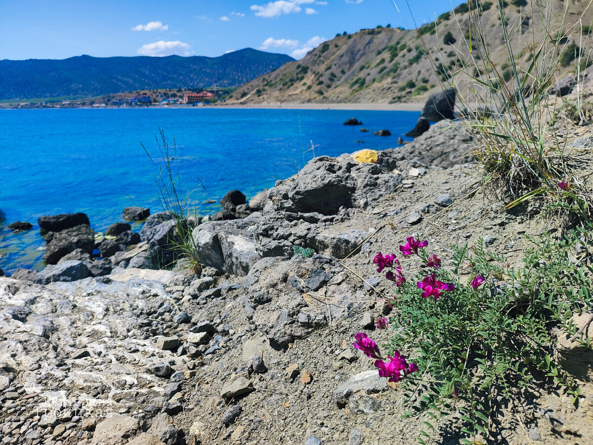 село Весёлое . Караул - Оба