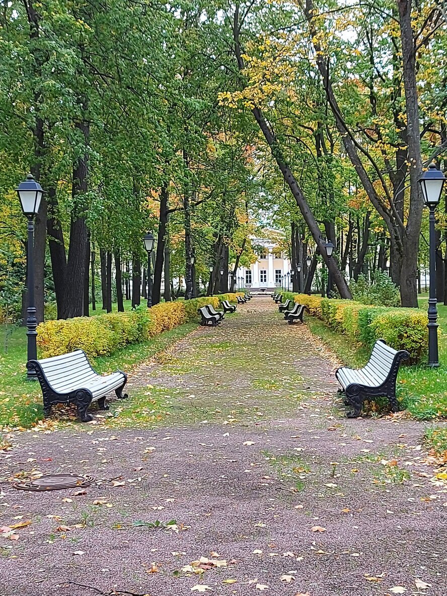 Петербургская 