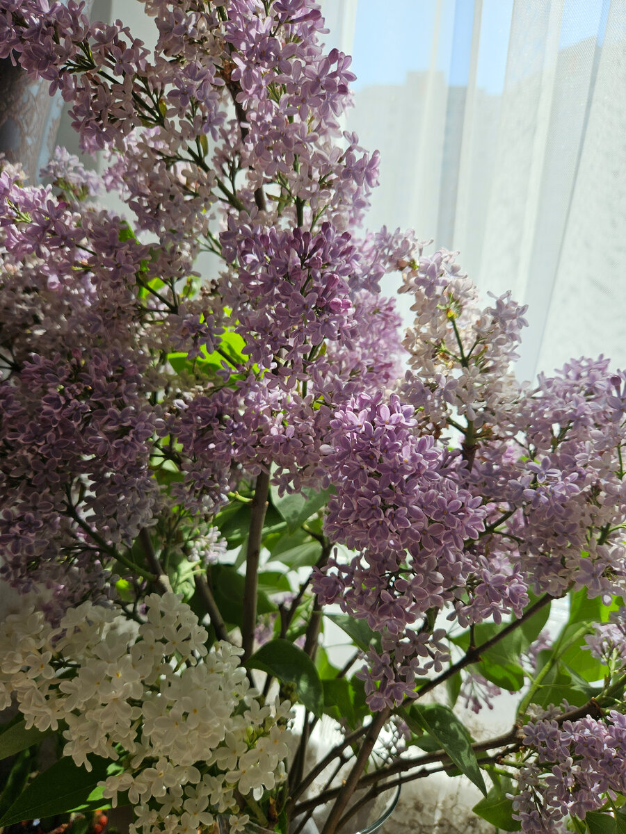 Насладитесь каждым мигом 