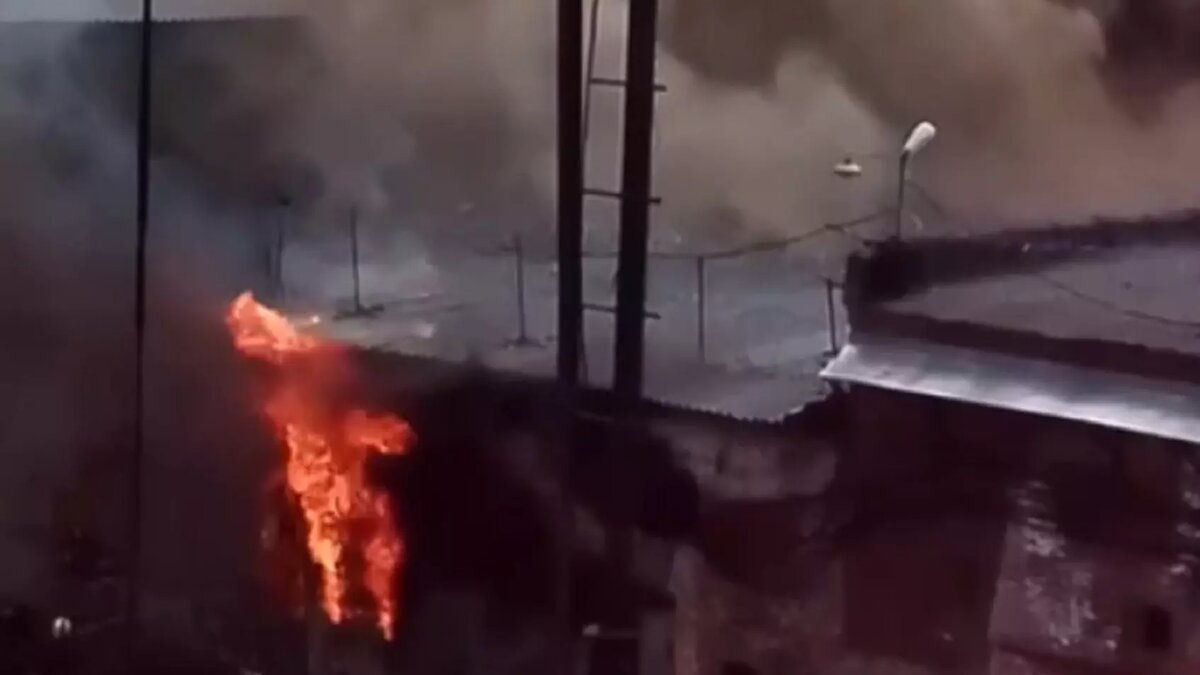     Источник: udm-info.ru