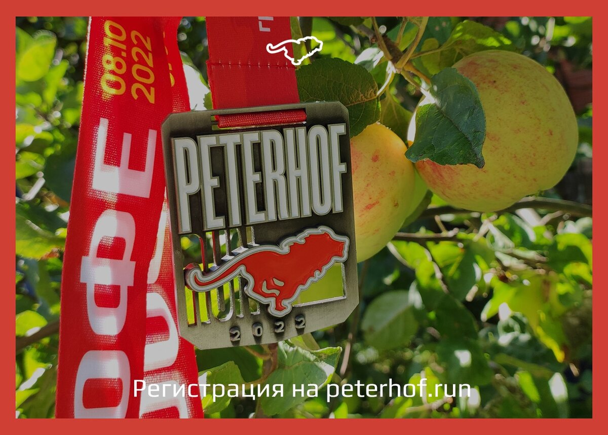 Как вам такие яблочки, котики?