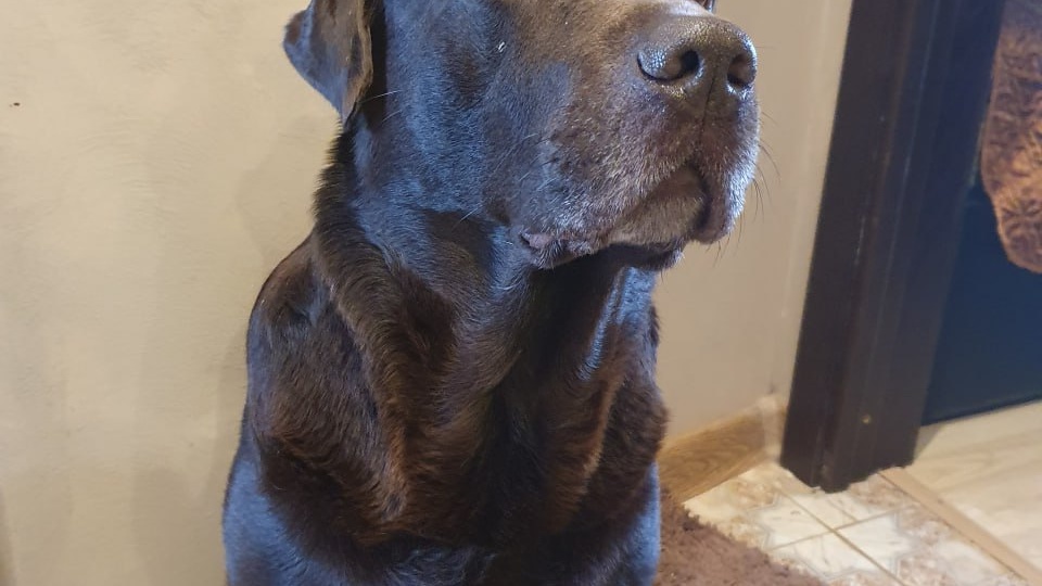 Мы были вместе 11 лет. Он ушел