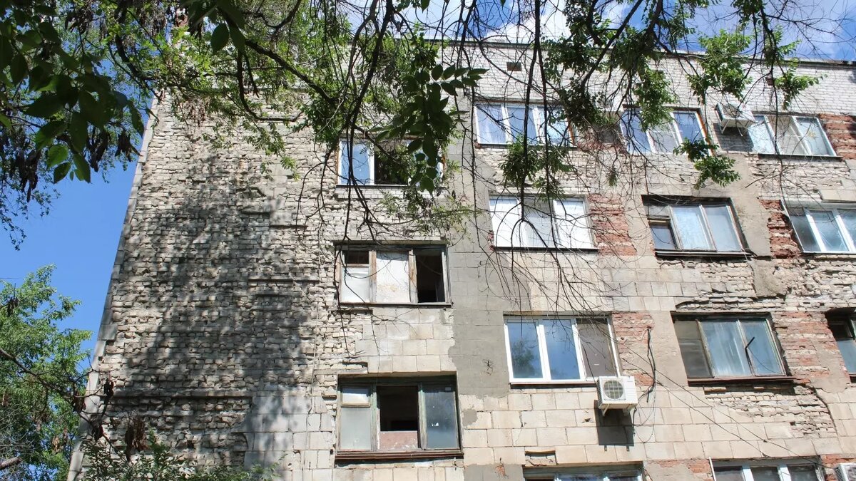     Автор: Анастасия Семенченко Источник: novostivolgograda.ru
