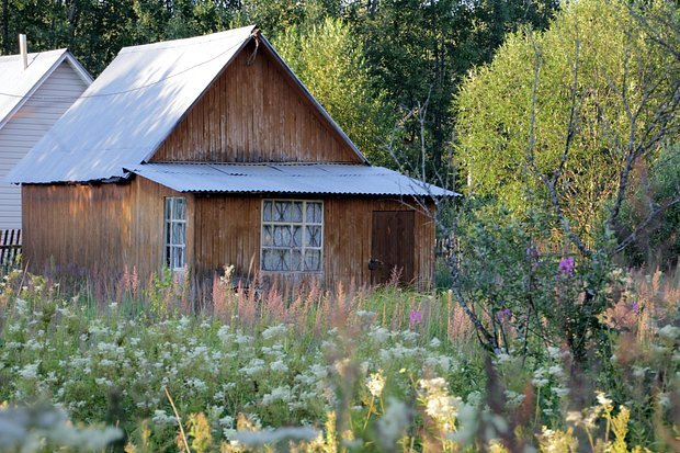    Фото: Komsomolskaya Pravda / Globallookpress.com