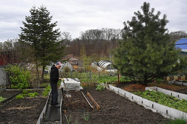    Фото: Виталий Аньков / РИА Новости