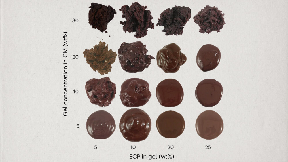     Фото: Mishra, K., Green, A., Burkard, J./ Nat Food (2024). Повышение ценности побочных потоков какао-бобов улучшает питательные и экологические аспекты шоколада.
