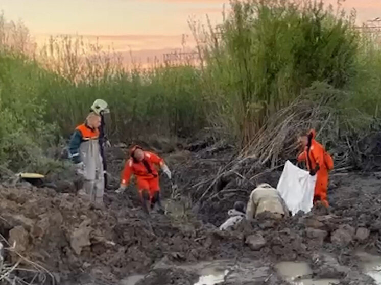     В ходе проведения следственных действий останки потерпевшего были обнаружены и извлечены из земли. Фото: t.me/gsuskrf_spb