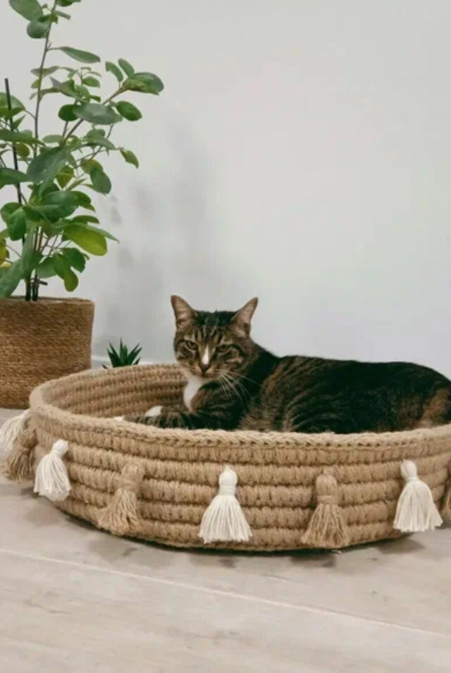 Источник: Яндекс картинки