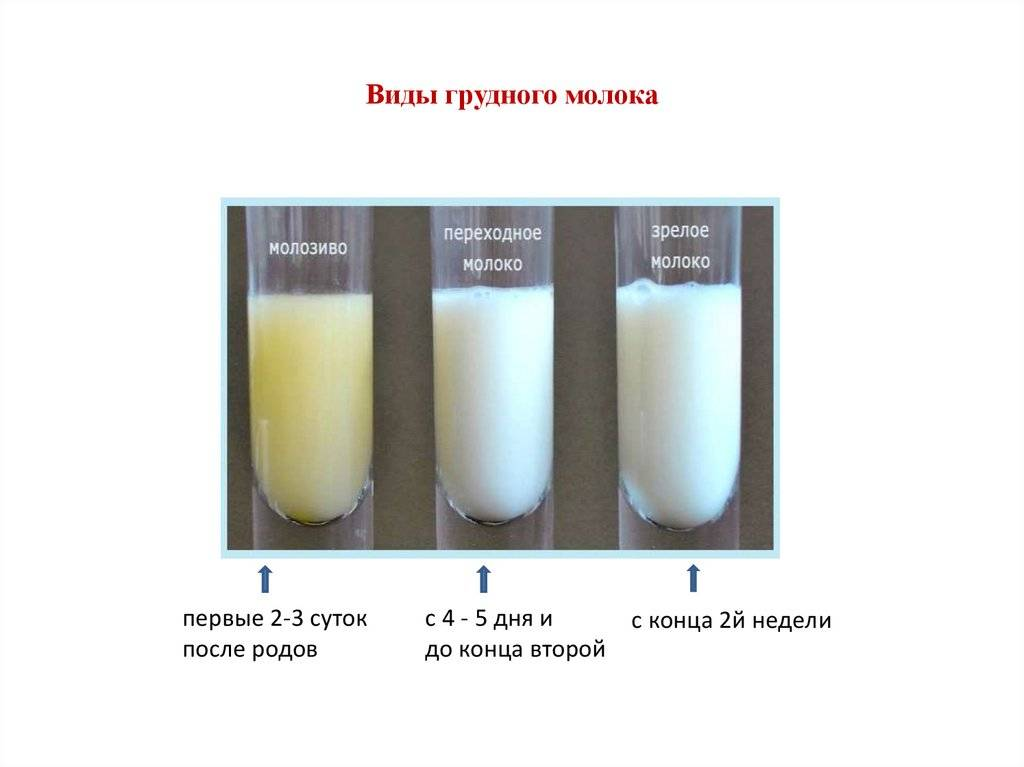 Продукты которые могут сделать горьким или соленым грудное молоко.