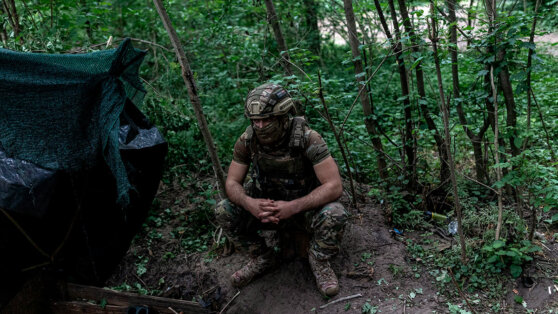    Секретарь СНБО признал, что у ВСУ почти нет шансов на прорыв в 2024 году Алина Городниченко