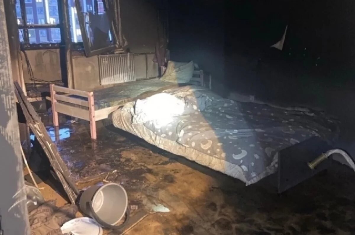    Причиной пожара в высотном доме на улице Анжелия Михеева стало неосторожное обращение с огнем неустановленного лица