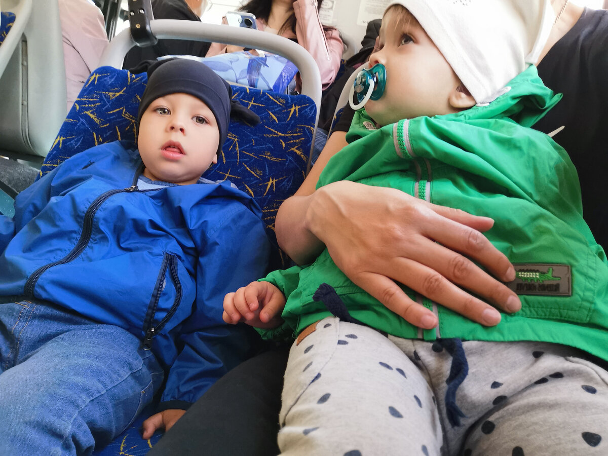 Впервые поездка в автобусе вызывает страх и большой интерес. 