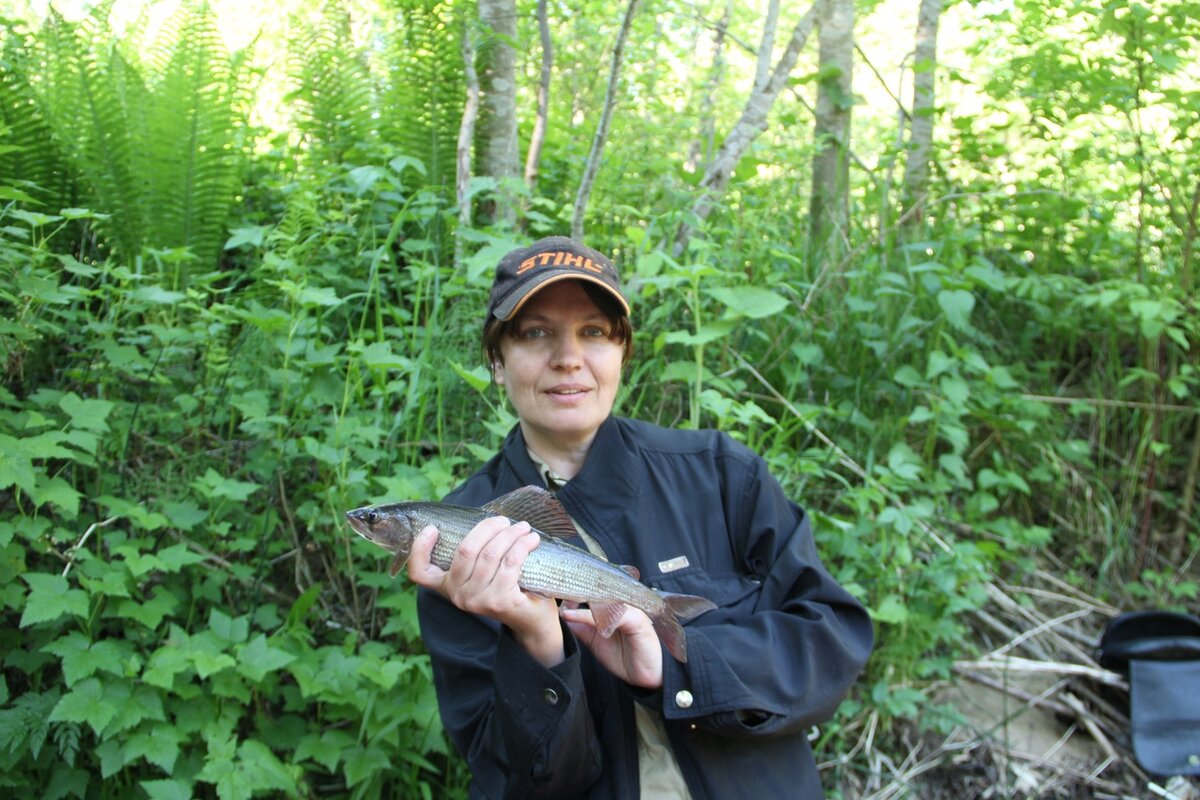 Первый пойманный хариус!