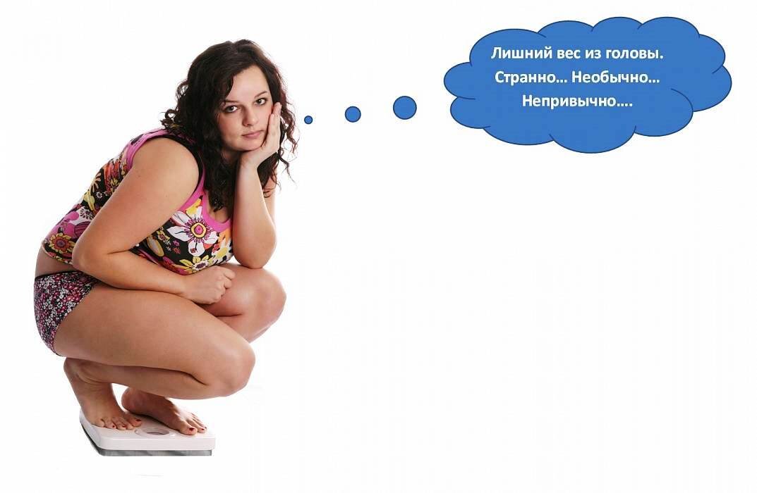 Взято из открытых источников интернета