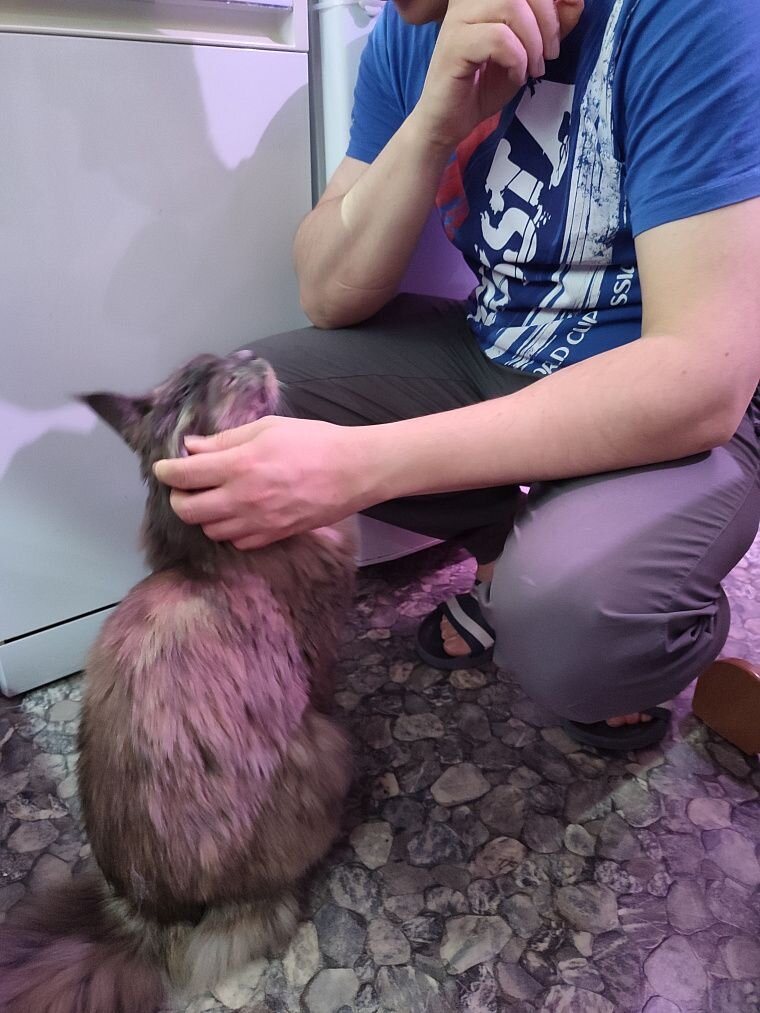 Апрель стал для нашей семьи месяцем потерь | Блог для родителей Lucky ...