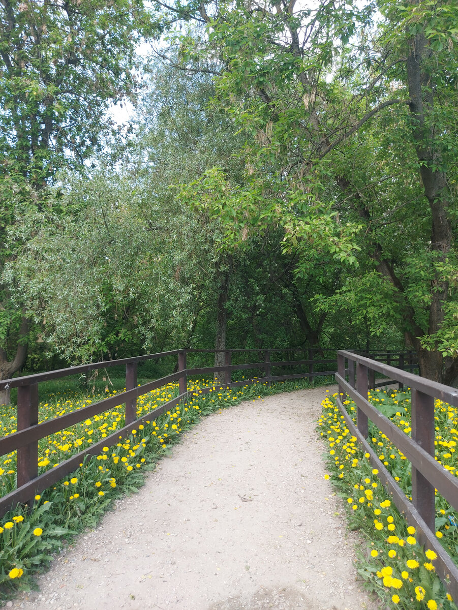 Заходим в парк