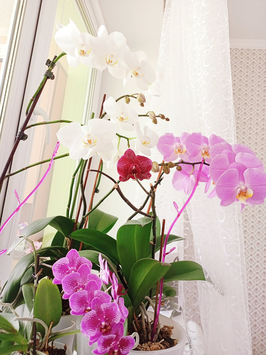 Фото сделано сегодня. 