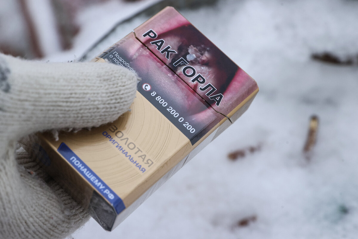 Фото: Bulkin Sergey / news.ru / Global Look Press 