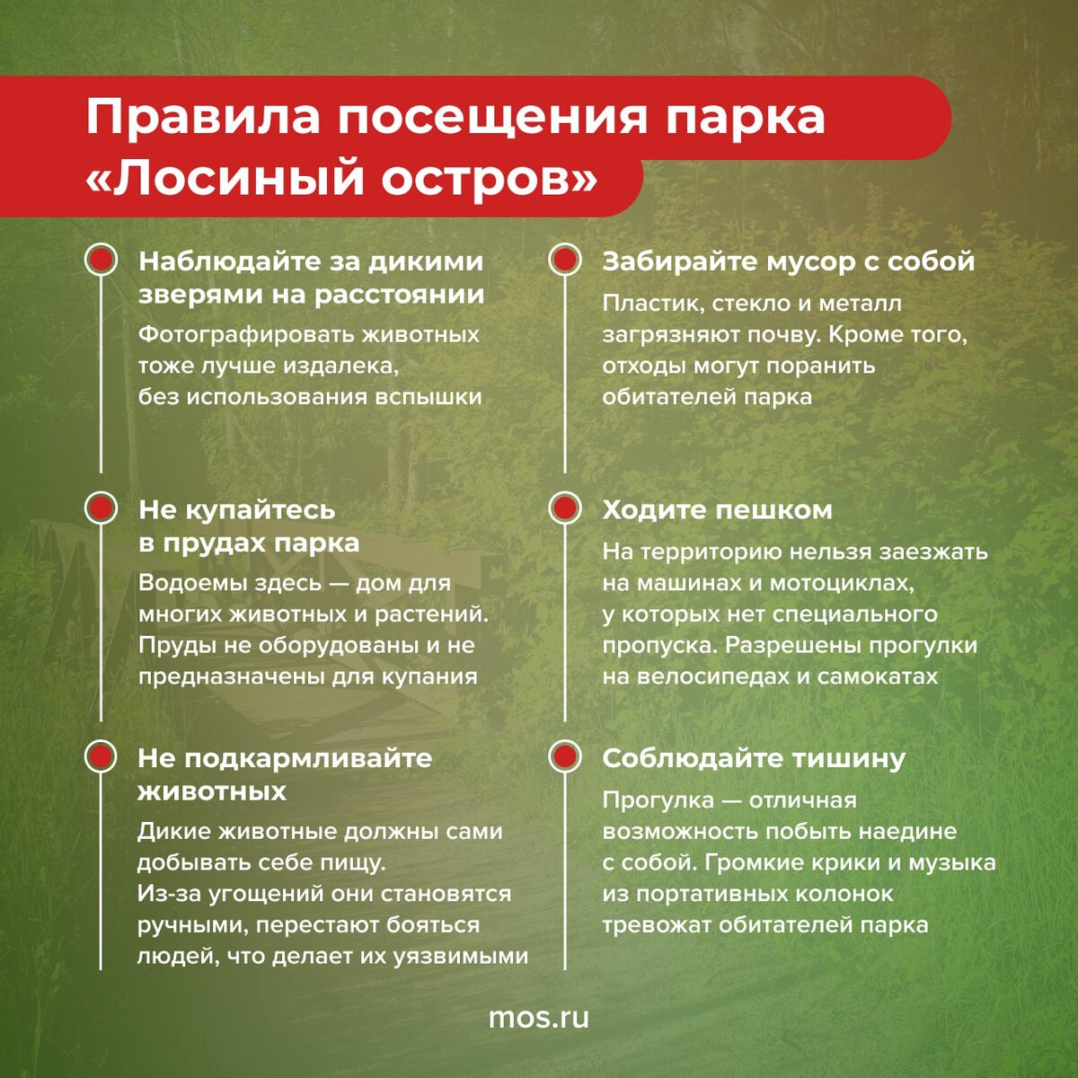 Порядок посещения парков. Правила посещения картинка. Порядок посещения парков. Информационный стенд для спортивной площадки. Информационная табличка на спортивную площадку.