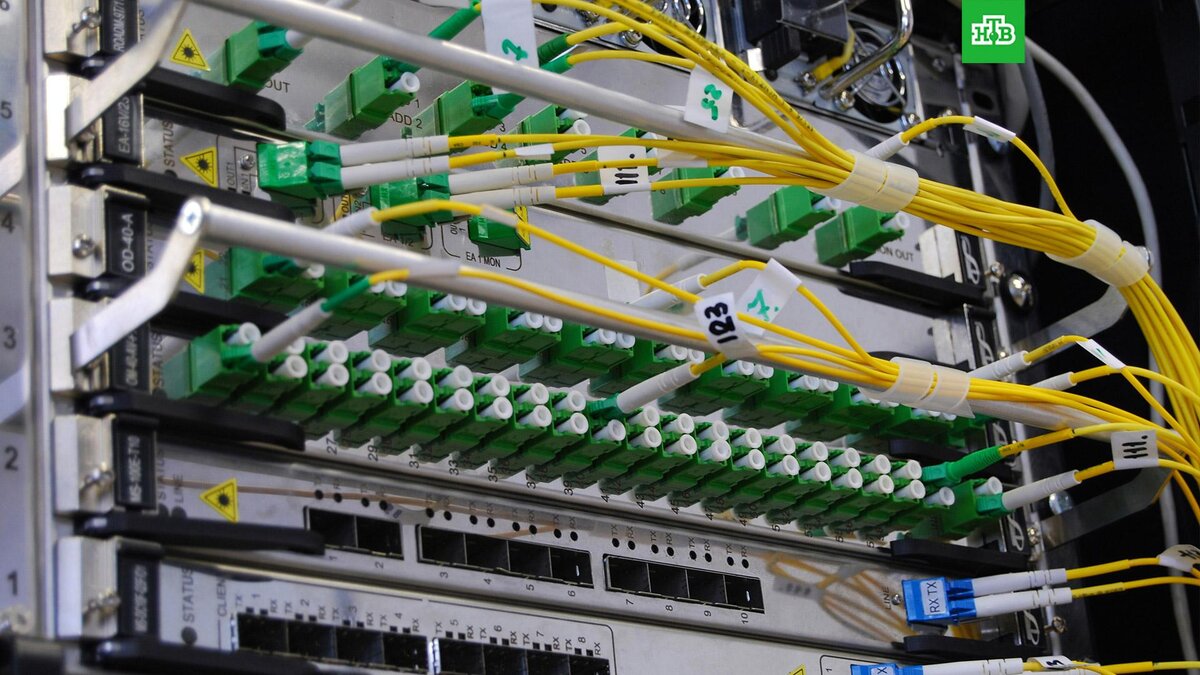    Фото: Kirill Sh / unsplash.com