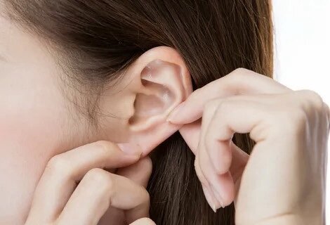 Фото из открытых источников. Яндекс картинки 