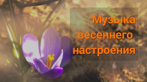 Download Video: Музыка весны - красивая весенняя музыка на гуслях для хорошего настроения