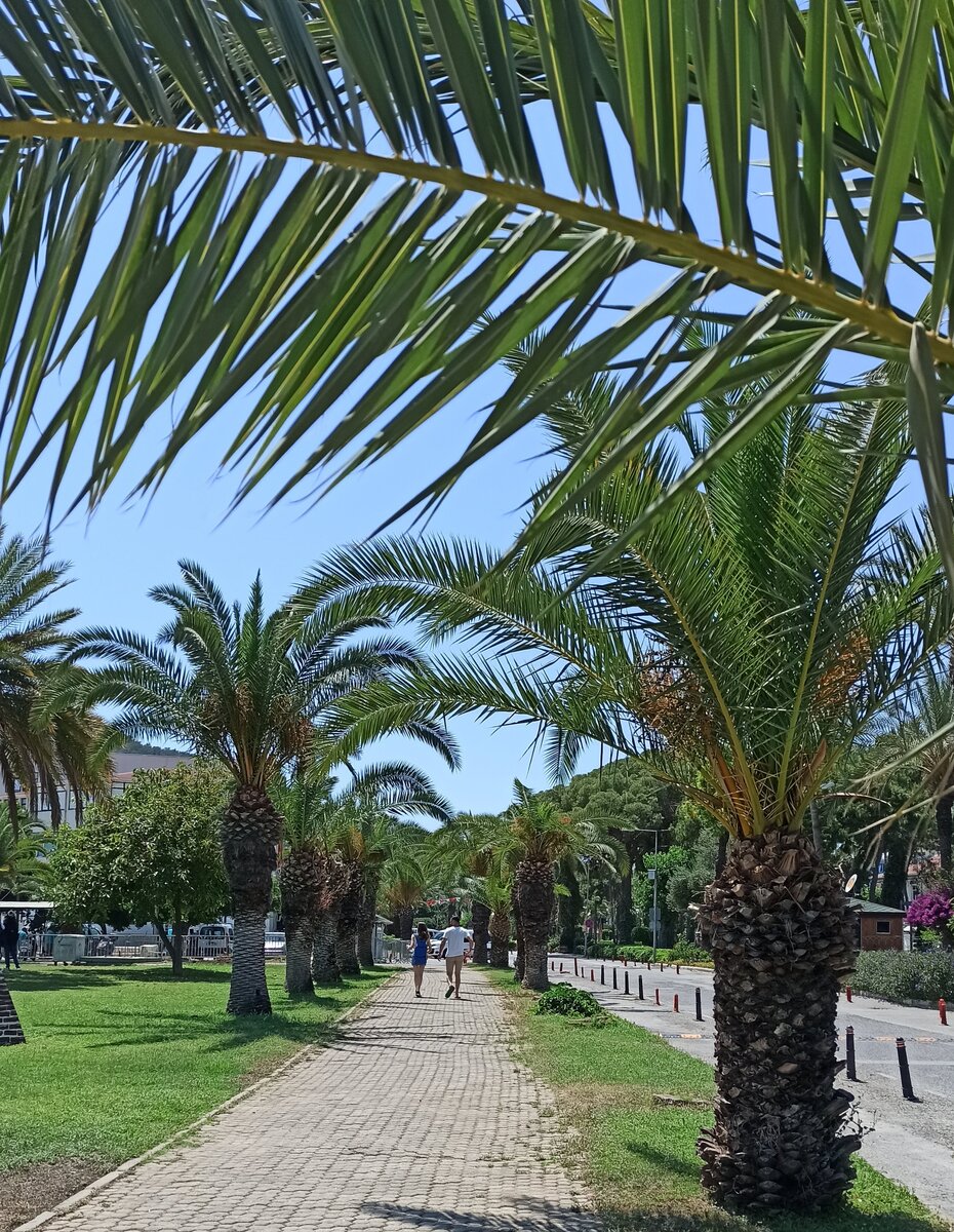 Прогулка в Алании 