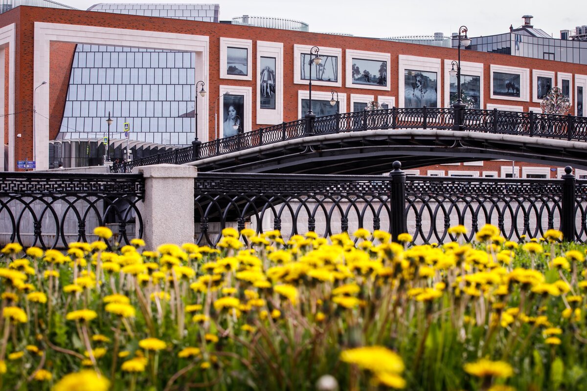    В Москве пройдет международный фестиваль «Интермузей» (фото 3)