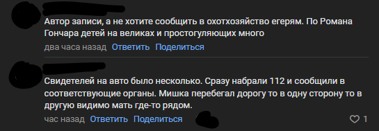    По оживлённой дороге в посёлке Карелии бродит медведь сообщество во "ВКонтакте "НОВАЯ ВИЛГА/Д.ВИЛГА/Д.ПОЛОВИНА. Доска объявлений"