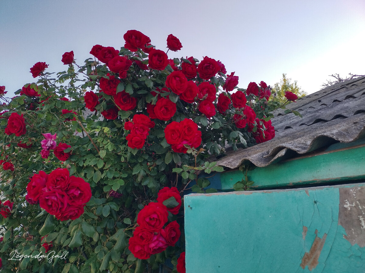 Основная масса на крыше лежит