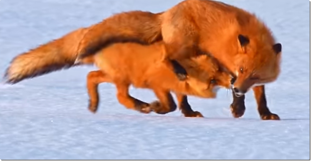 Все фото из официального трейлера