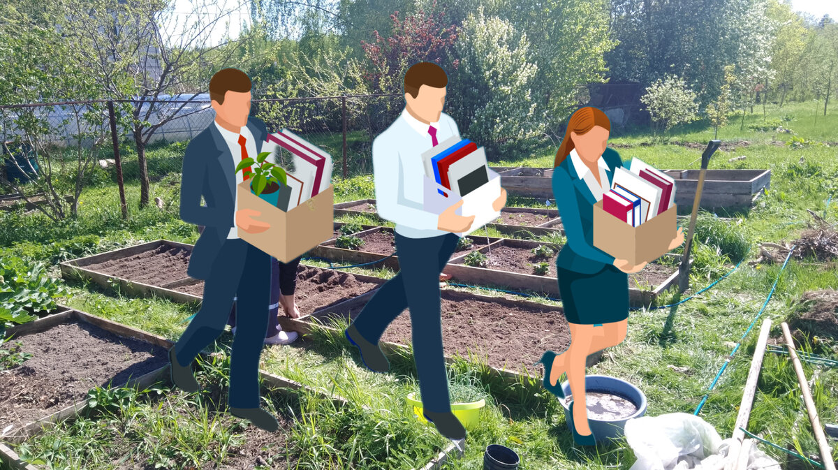 Фото для статьи