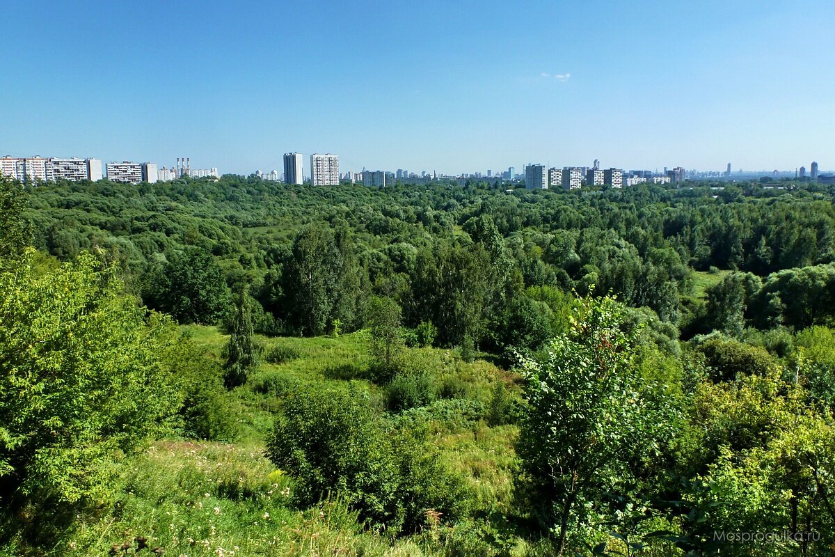 Сходненский ковш в Южном Тушине - одна из таких территорий