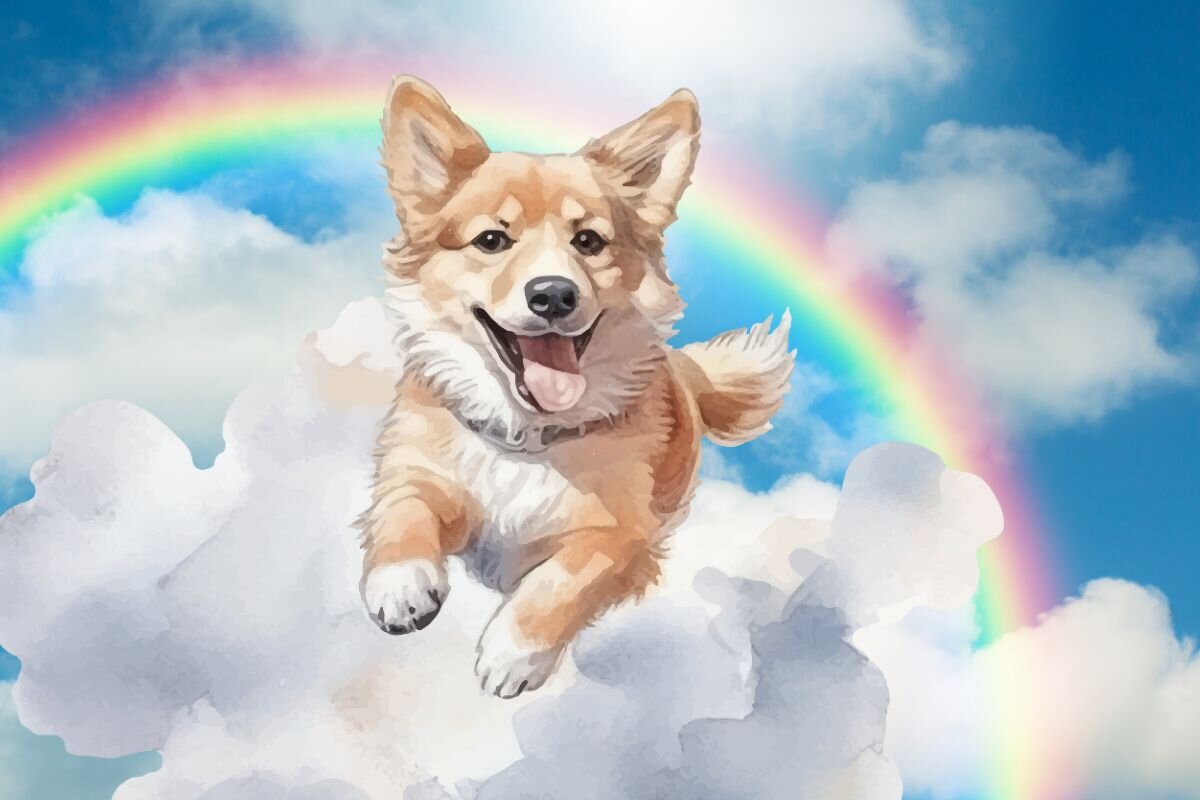 Собака ушла на радугу