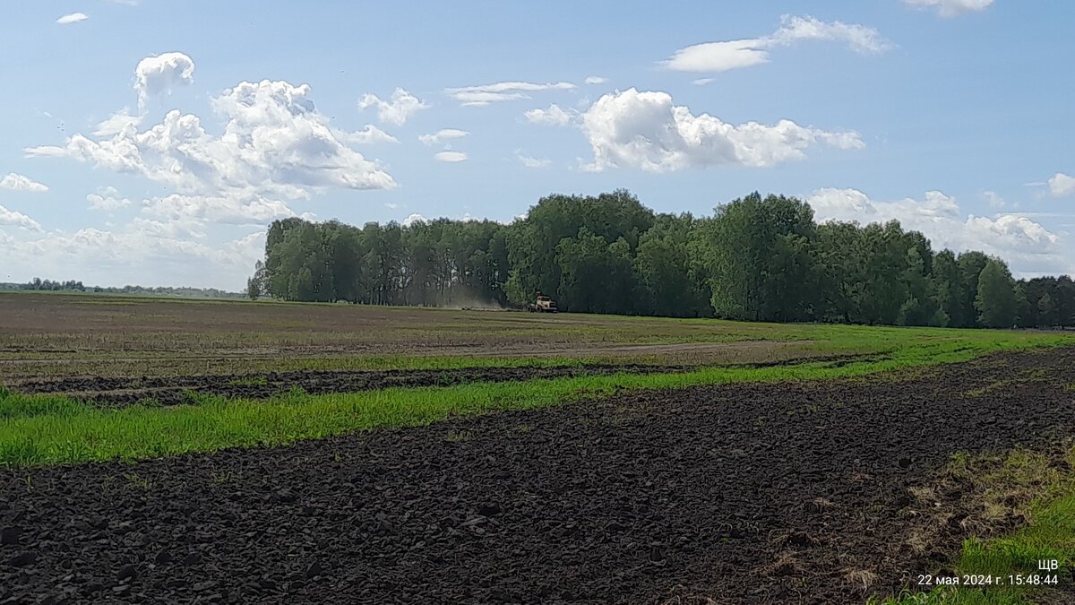 не наш