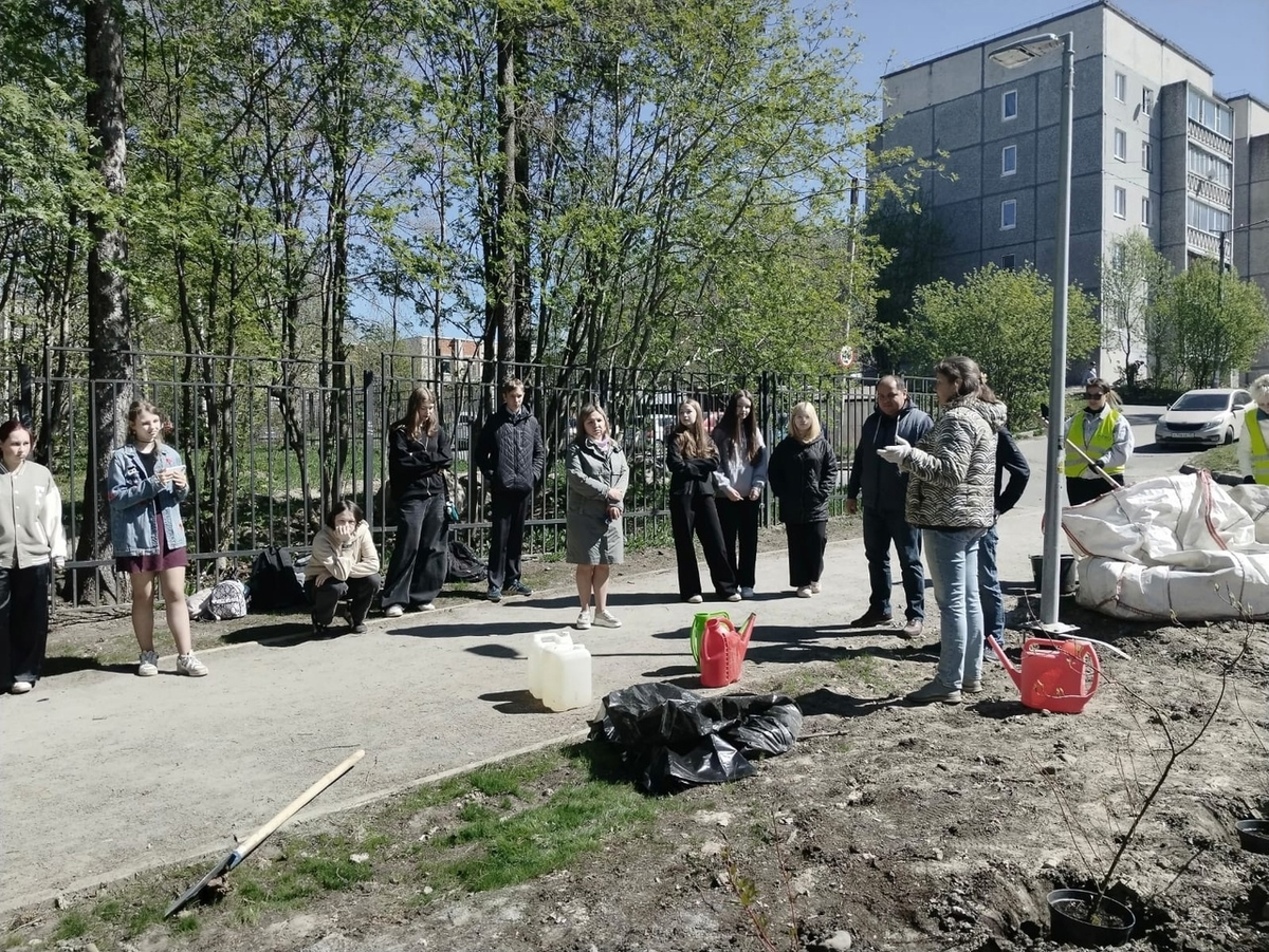    Рингальский сквер озеленили жители Петрозаводска freepik.com