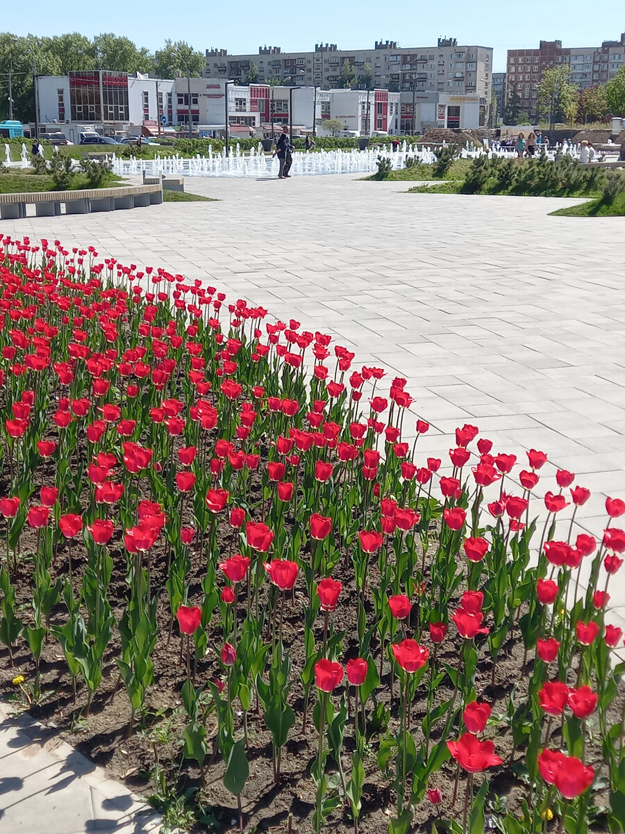 На Новом фонтане.( Открыли в прошлом году)