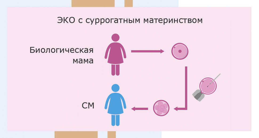 Ширина суррогатная мать. Суррогатное материнство схема. Этапы суррогатного материнства. Как происходит суррогатное материнство. Процедура суррогатного материнства.