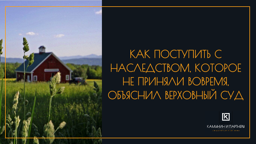 Определение Верховного суда РФ N 56-КГ22-33-К9.