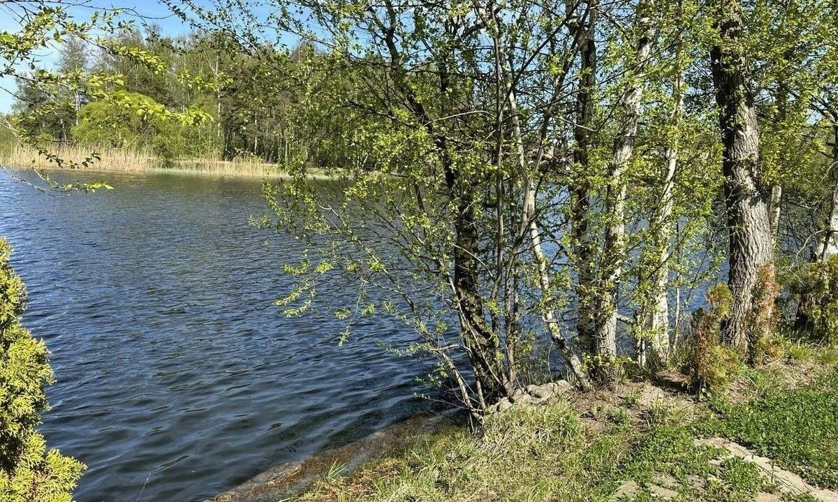 Фото: прокуратура Петербурга
