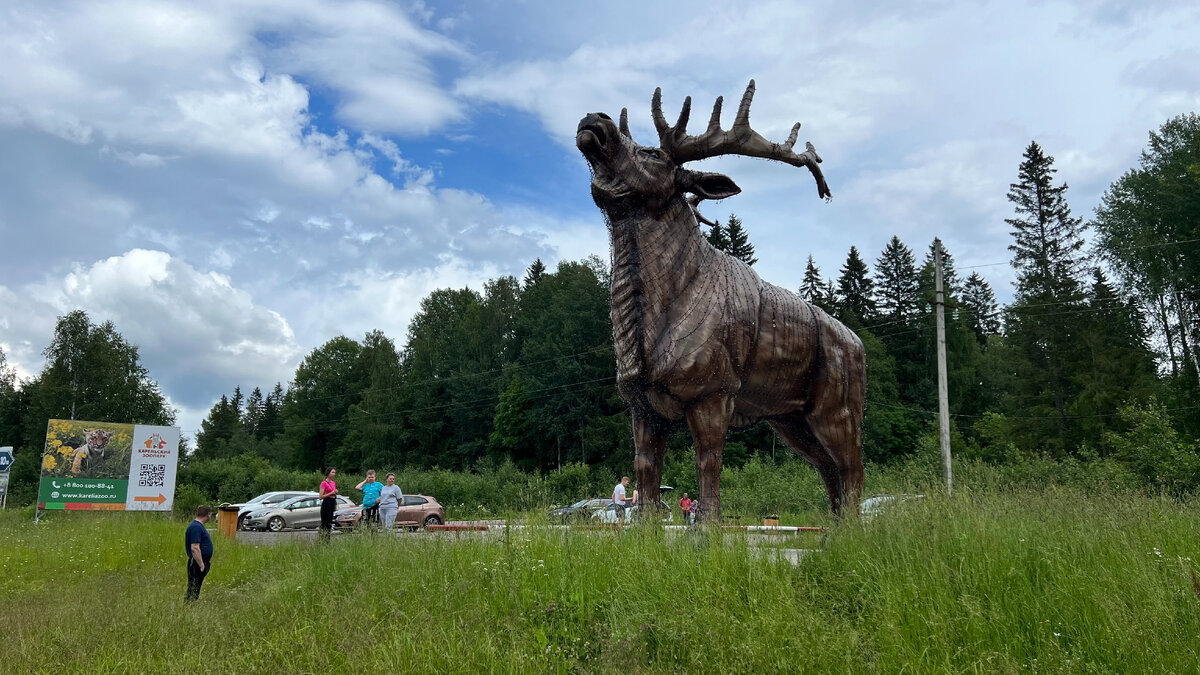 Карельский зоопарк 