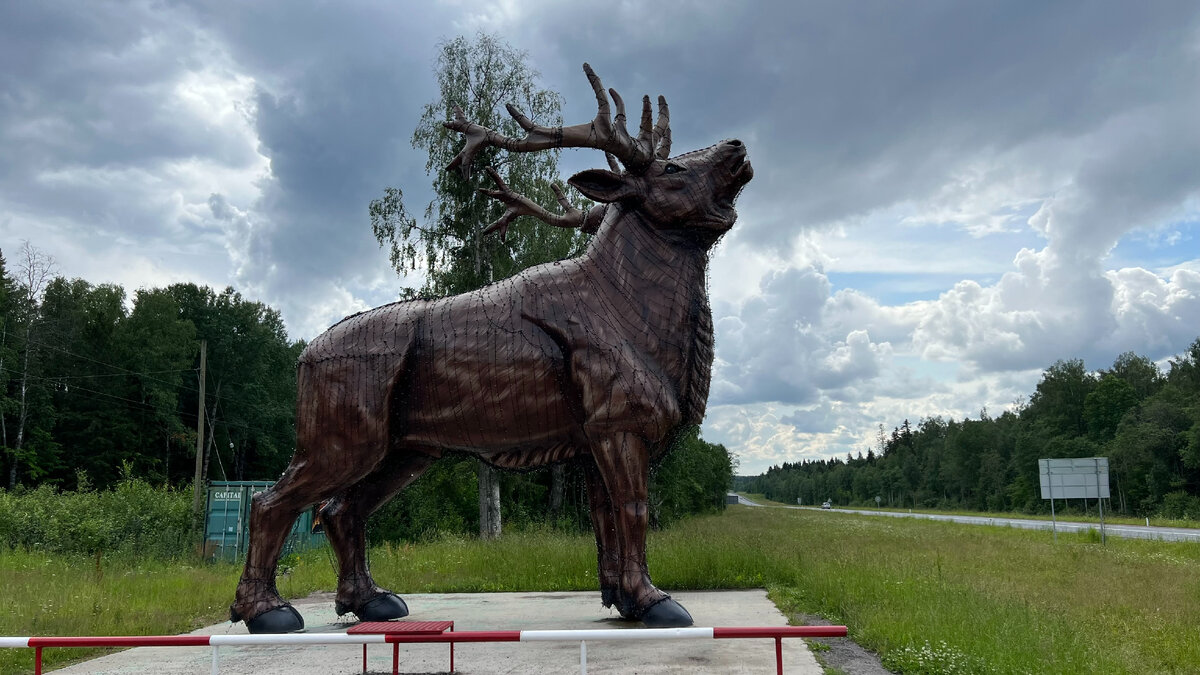 Карельский зоопарк