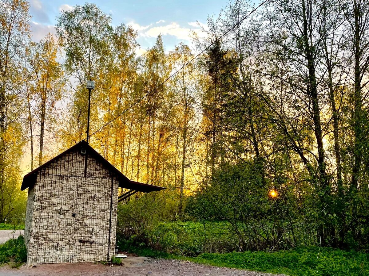 Источник фото https://vk.com/photo-204790481_457239481